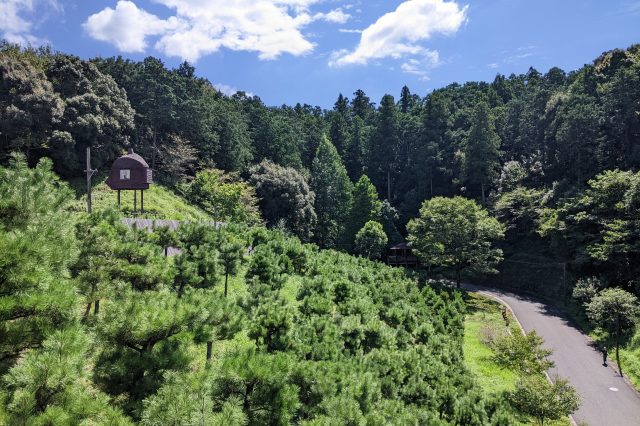 秋野不矩美術館 周辺の森